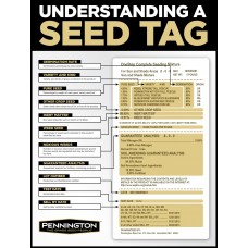Kentucky 31 Tall Fescue Plus Blend Grass Seed, 50 lbs   551790440